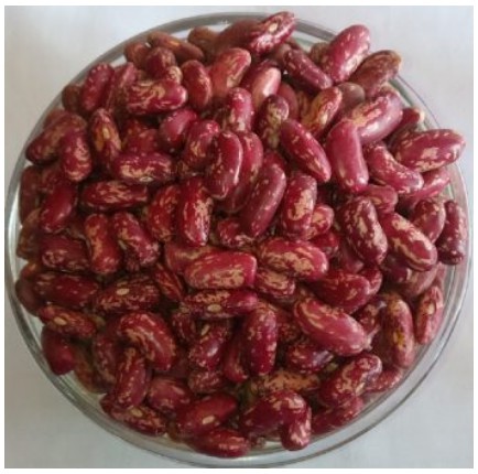 Beans (Nyayo Namanga/ kg)