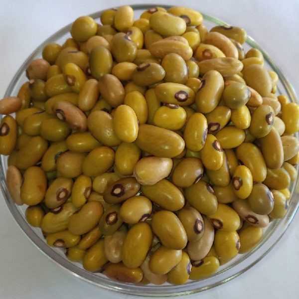 Beans (Yellow beans / kg)